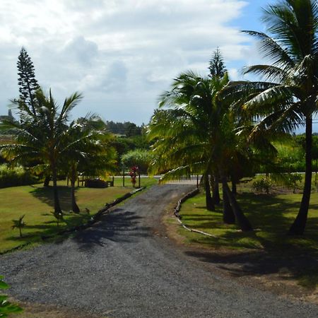 Bed and Breakfast God'S Peace Of Maui à Makawao Chambre photo