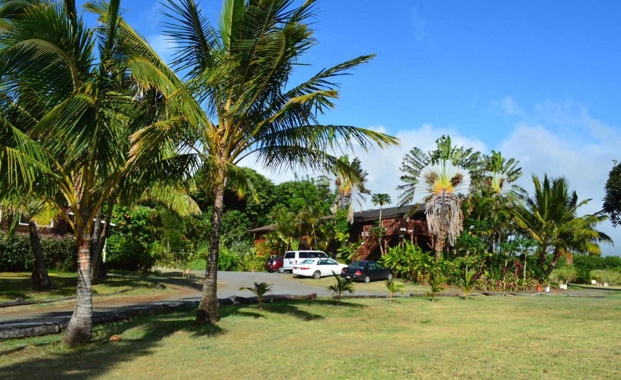 Bed and Breakfast God'S Peace Of Maui à Makawao Chambre photo